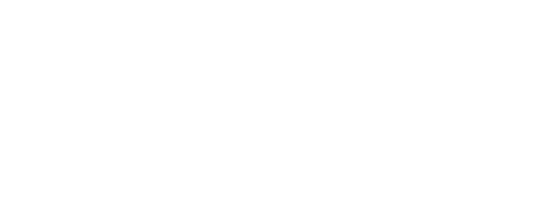 Logo WINDBTOIX SOLUTIONS verde
